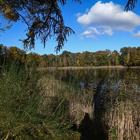 Tiny House Pioneer 4 - Tiny Spot Friesland * Шортенс