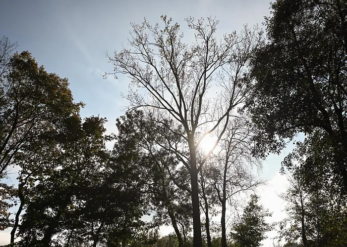 Tiny House Pioneer 4 - Tiny Spot Friesland Сasa de vacaciones Schortens