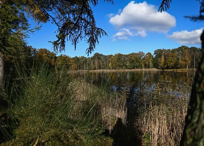 Tiny House Pioneer 4 - Tiny Spot Friesland * Schortens